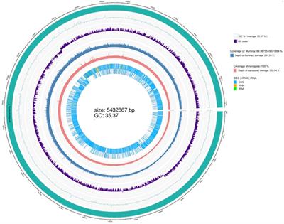 Study on the mechanism of peanut resistance to Fusarium oxysporum infection induced by Bacillus thuringiensis TG5